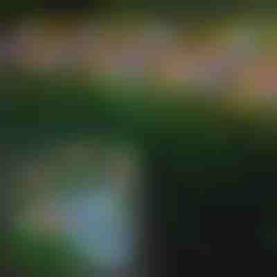 Solárne vonkajšie svetlá v tvare motýľov | FLUTIX