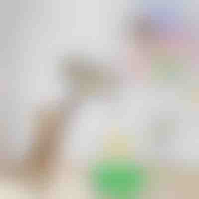 Elektrická hračka pre mačky – dráždenie vtáčika | BIRDIETOY