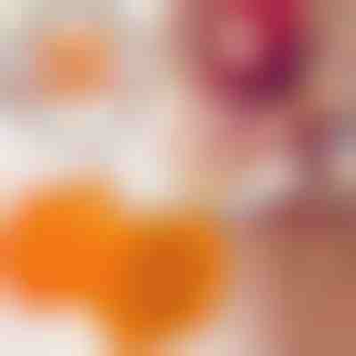 Lis na čevapčiči | CEVAPMAKER